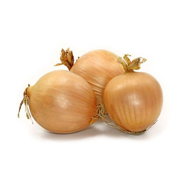 cebula