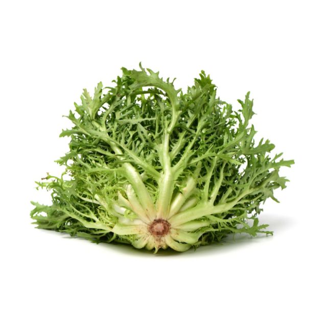 endivija