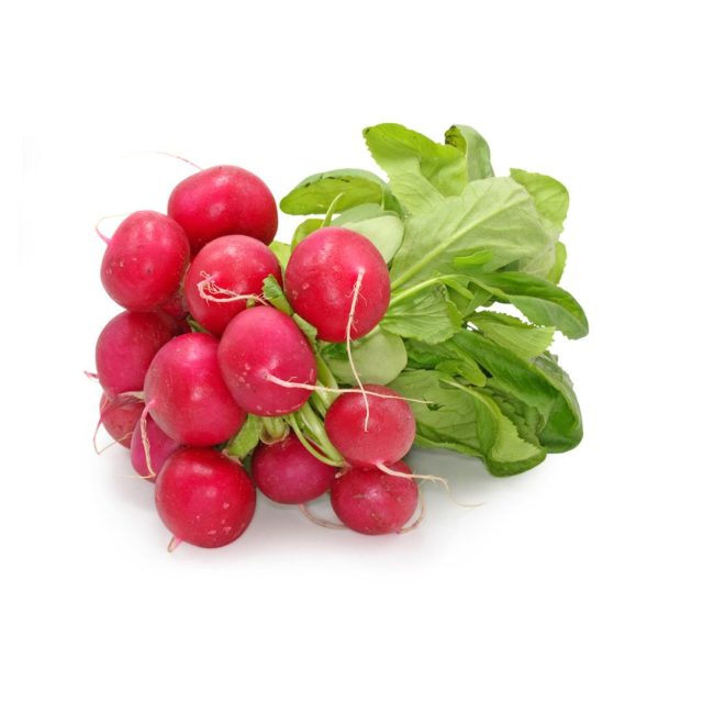 redkvica